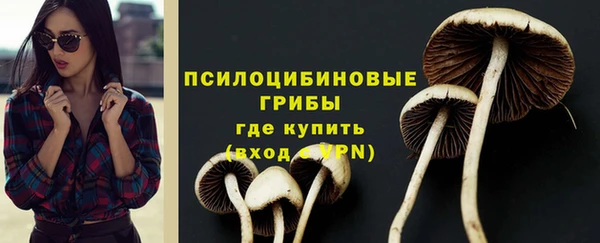 дурь Михайловка