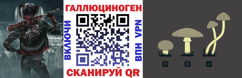 Псилоцибиновые грибы Psilocybine cubensis  Янаул 